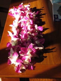 Our welcome leis when we landed