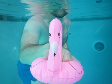 Flamingo submarine