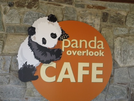 Lunch at the Panda Cafe
