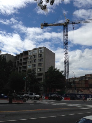 The official DC bird is the construction crane.