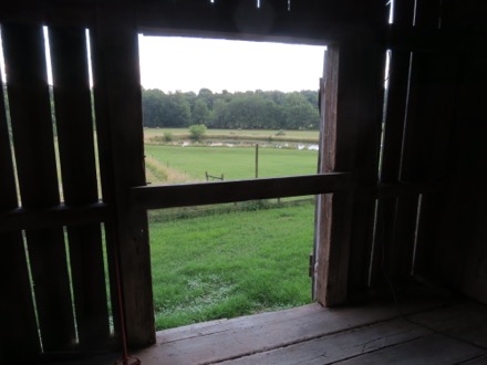 Looking out back from the barn