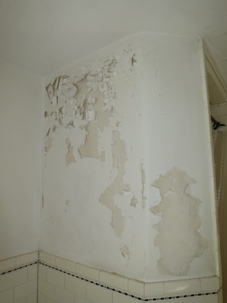 Shower Wall Before, paint chips brush right off