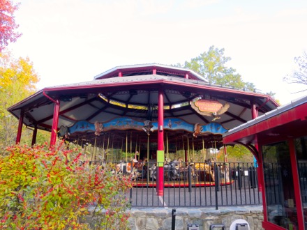Conservation Carousel