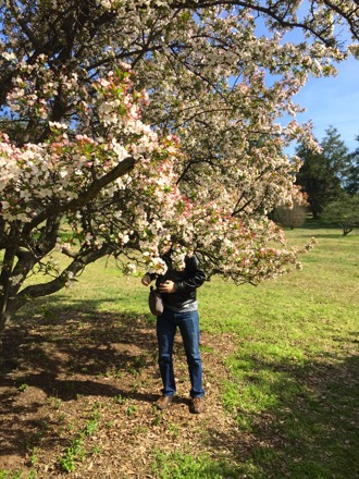 Rob is actually stealing flowers from the crabapple tree.