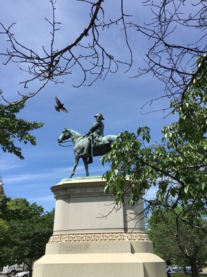 Bill got a fantastic picture of the statue on Scott Circle. He named the bird 'Thunder Pigeon'.