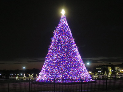 National Christmas Tree all lit up