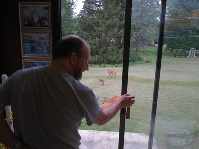 Bill feeding deer 1