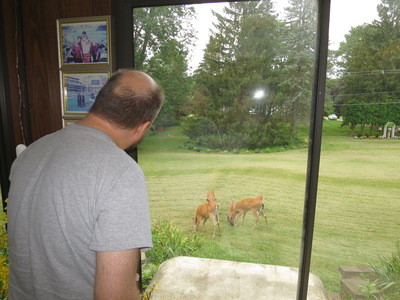 Bill feeding deer 3