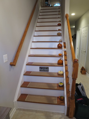 Remy showed me each pumpkin on each stair.