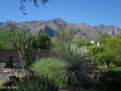 View of the mountains from the back yard, one of my photos.