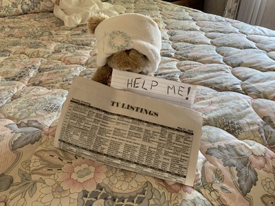 Hostage bear - Help Me!