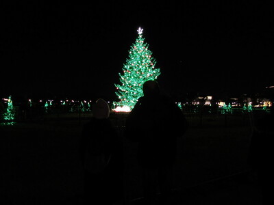 We went down to the White House to see the National Christmas Tree