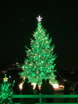 Crowd around the tree