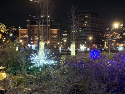 Little firework lights in the garden