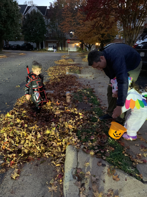 Everly found her new favorite pile of leaves