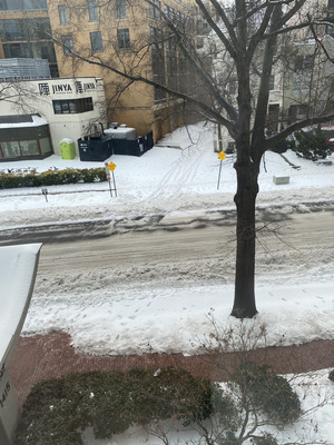 Somewhat plowed the next day