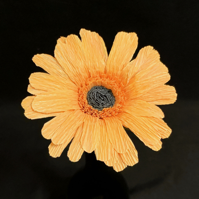 Gerbera Daisy