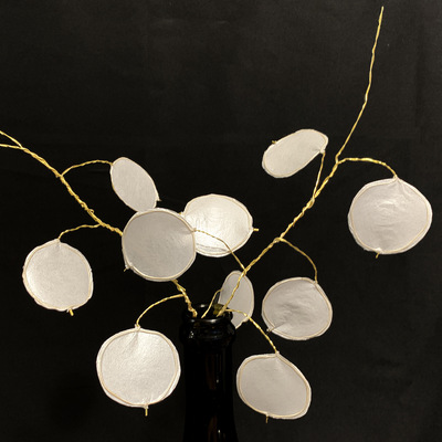 Money Plant (Lunaria)