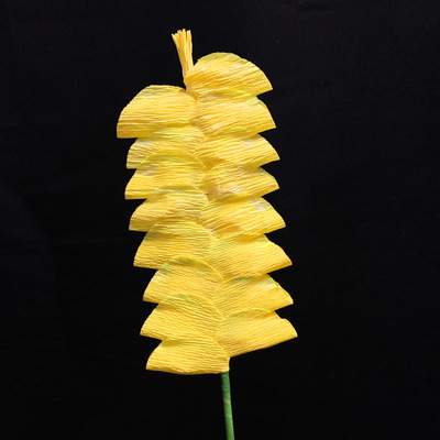 Rattlesnake Plant (Crotalifera)