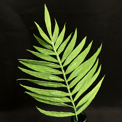Fern Greenery