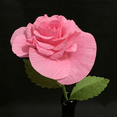 Pink Rose