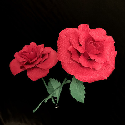 Deep Red Rose