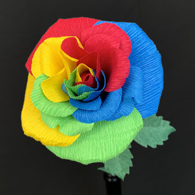 Rainbow Rose