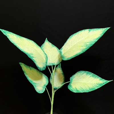 Dumb Cane Greenery