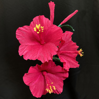Red Hibiscus