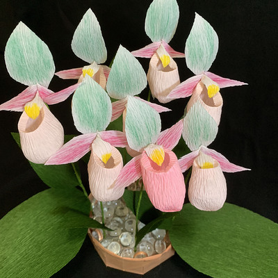 Lady's Slipper, Pink